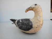 /album/galerie-photos/goeland-5-jpg/